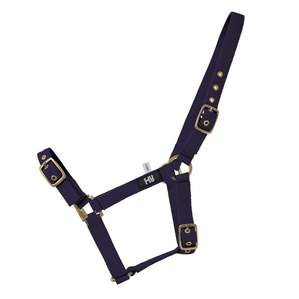 Hy Equestrian Holly Fully Adjustable Head Collar - Nags Essentials