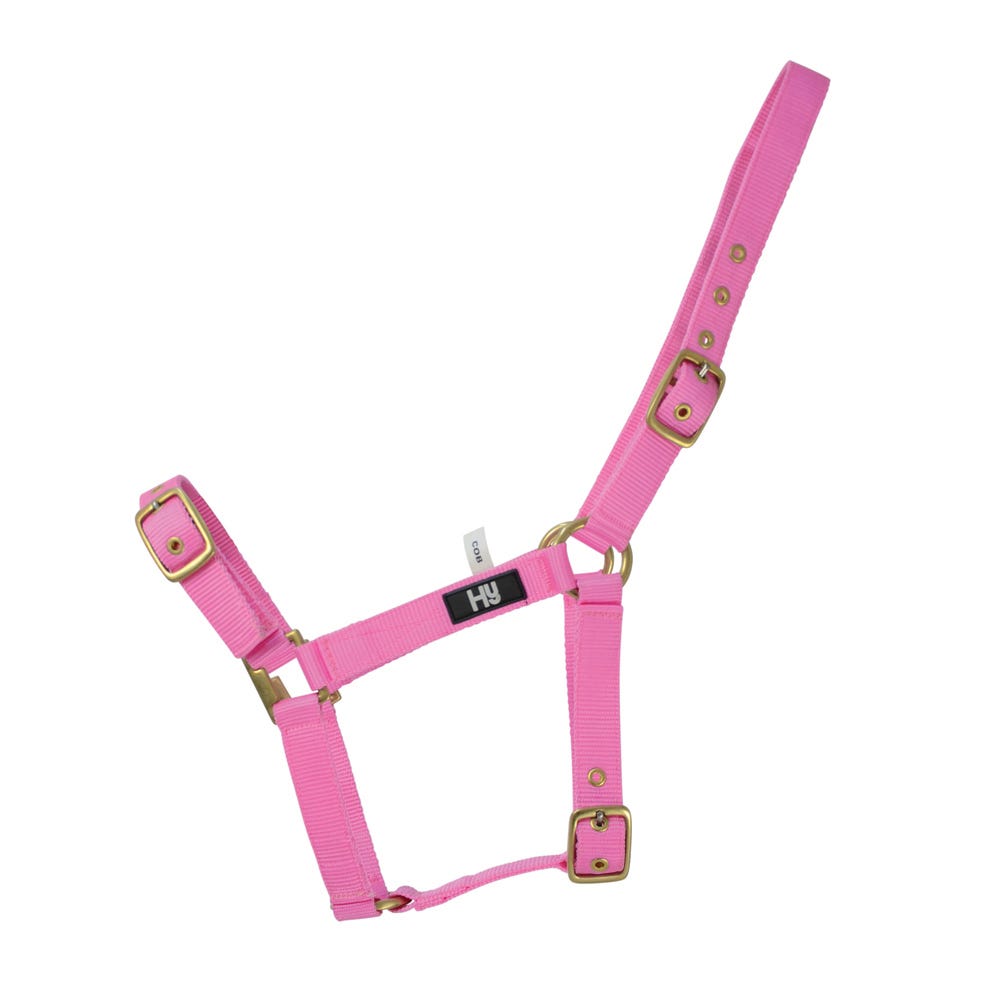 Hy Equestrian Holly Fully Adjustable Head Collar - Nags Essentials