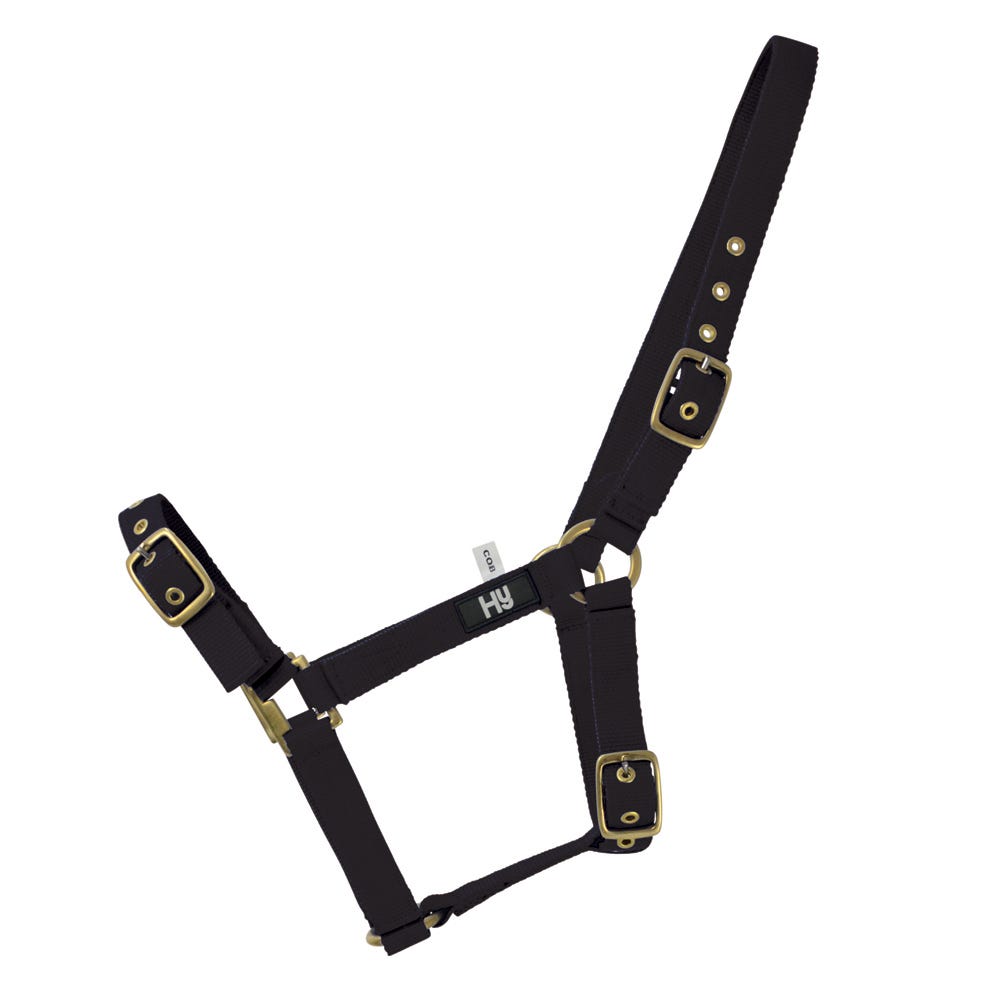 Hy Equestrian Holly Fully Adjustable Head Collar - Nags Essentials