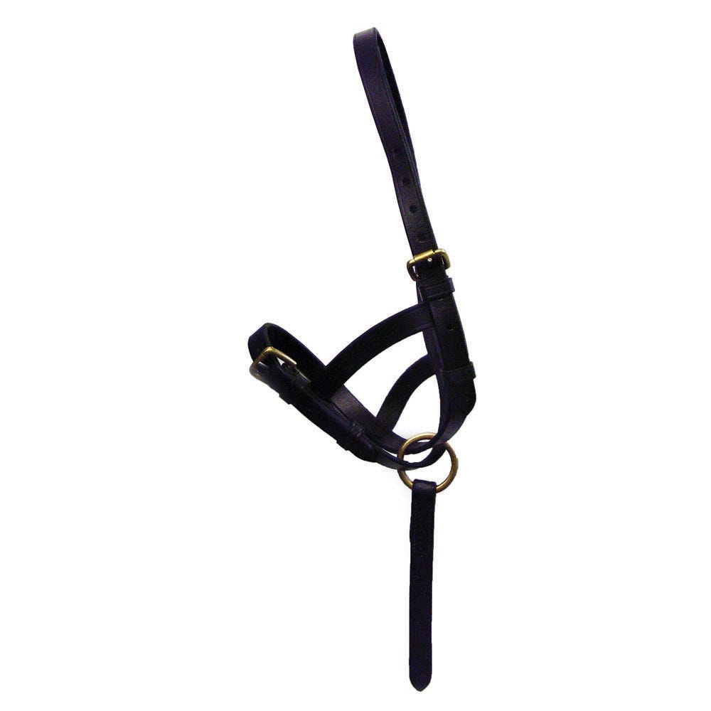 Hy Equestrian Leather Foal Slip - Nags Essentials