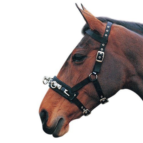Hy Equestrian Lunge Cavesson - Nags Essentials