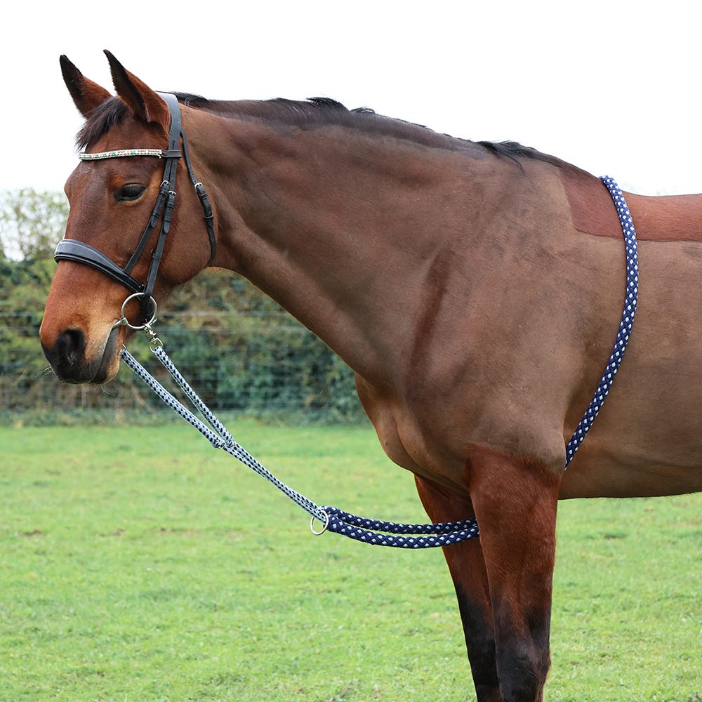 Hy Equestrian Lunging Aid - Nags Essentials