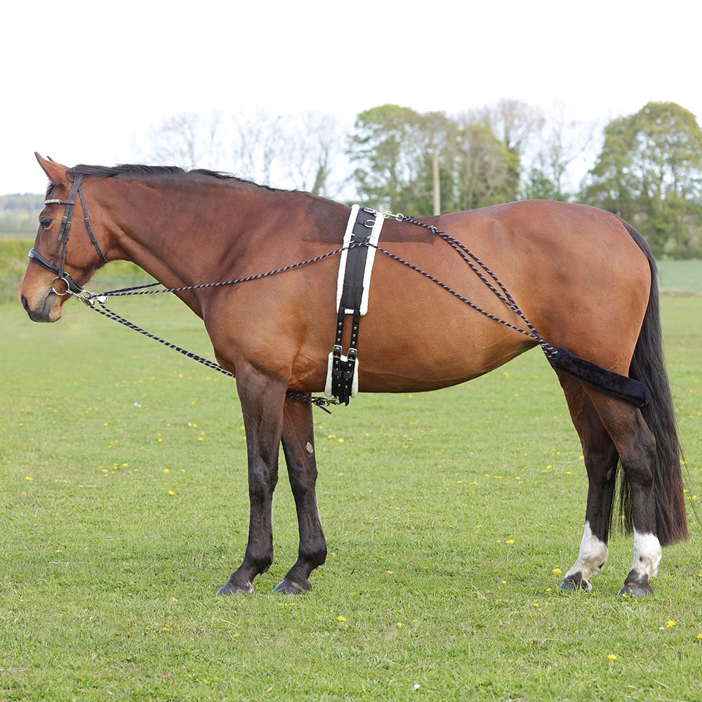 Hy Equestrian Lunging System - Nags Essentials