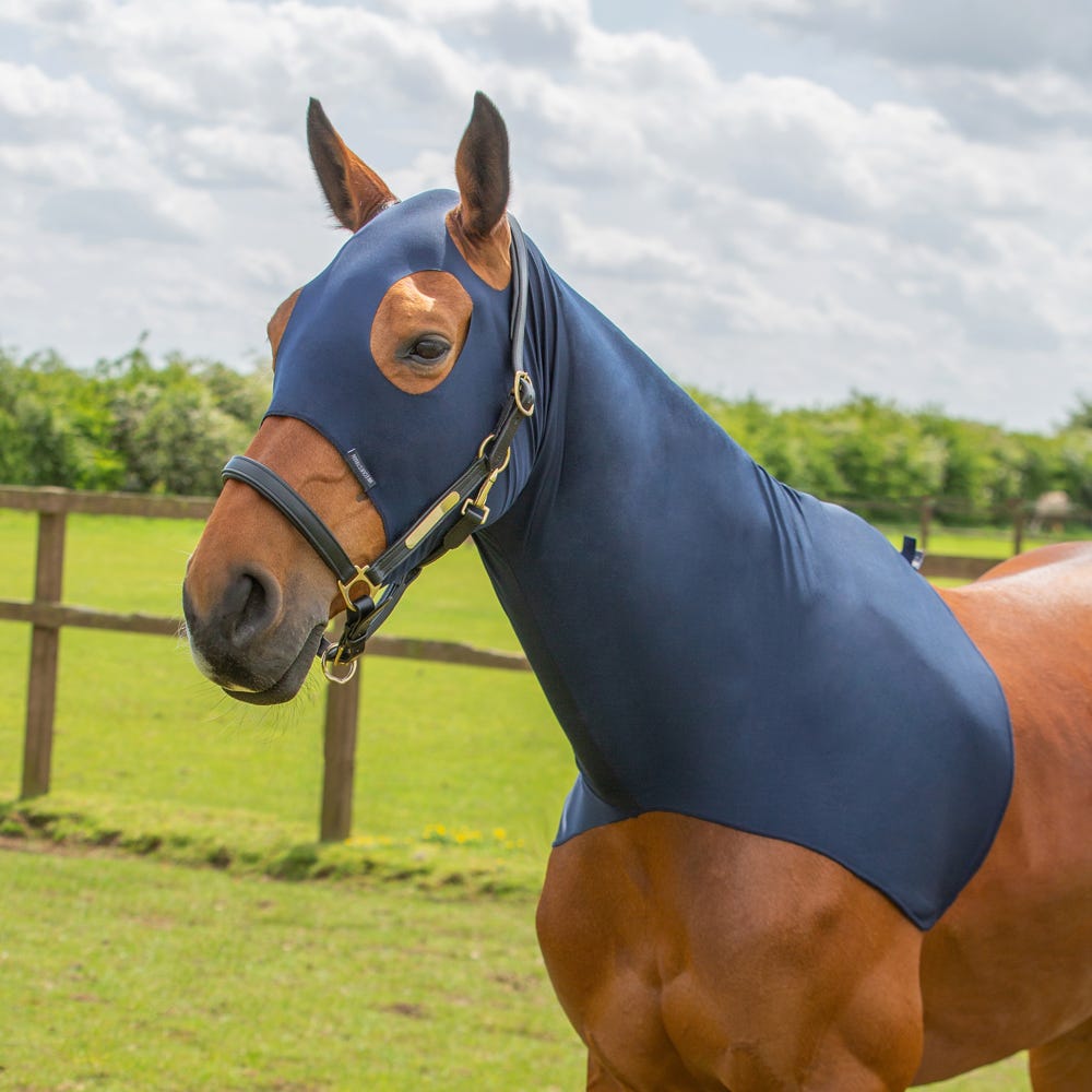 Hy Equestrian Lycra Flex Hood - Nags Essentials