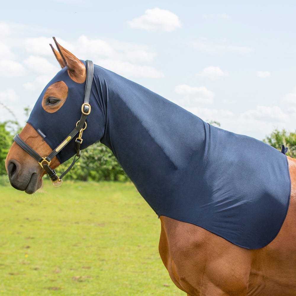 Hy Equestrian Lycra Flex Hood - Nags Essentials