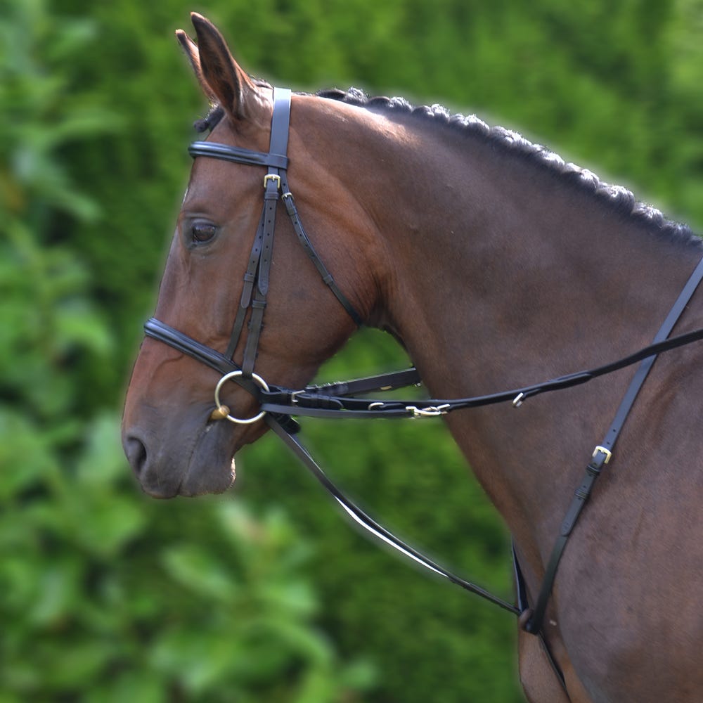 Hy Equestrian Market Harborough - Nags Essentials
