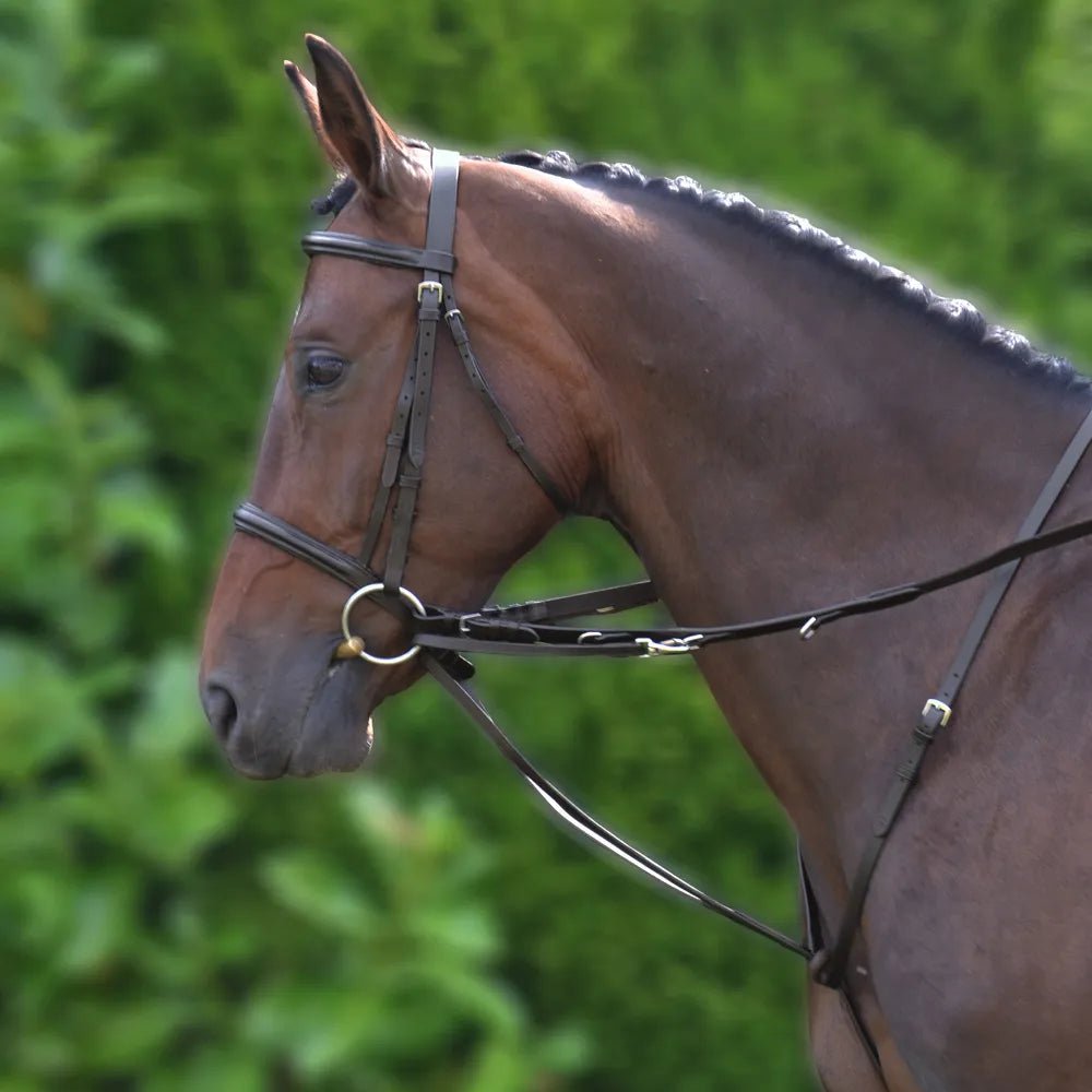 Hy Equestrian Market Harborough - Nags Essentials
