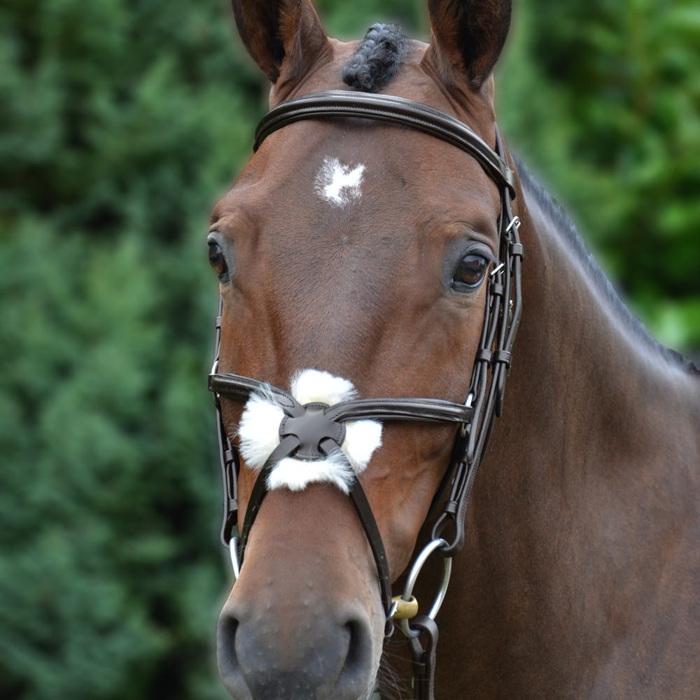 Hy Equestrian Mexican Bridle with Rubber Grip Reins - Nags Essentials