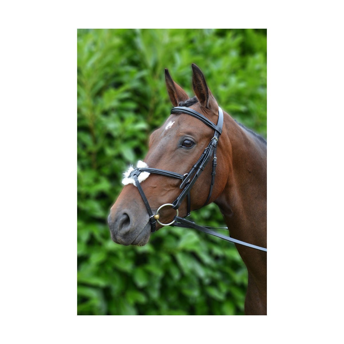 Hy Equestrian Mexican Bridle with Rubber Grip Reins - Nags Essentials