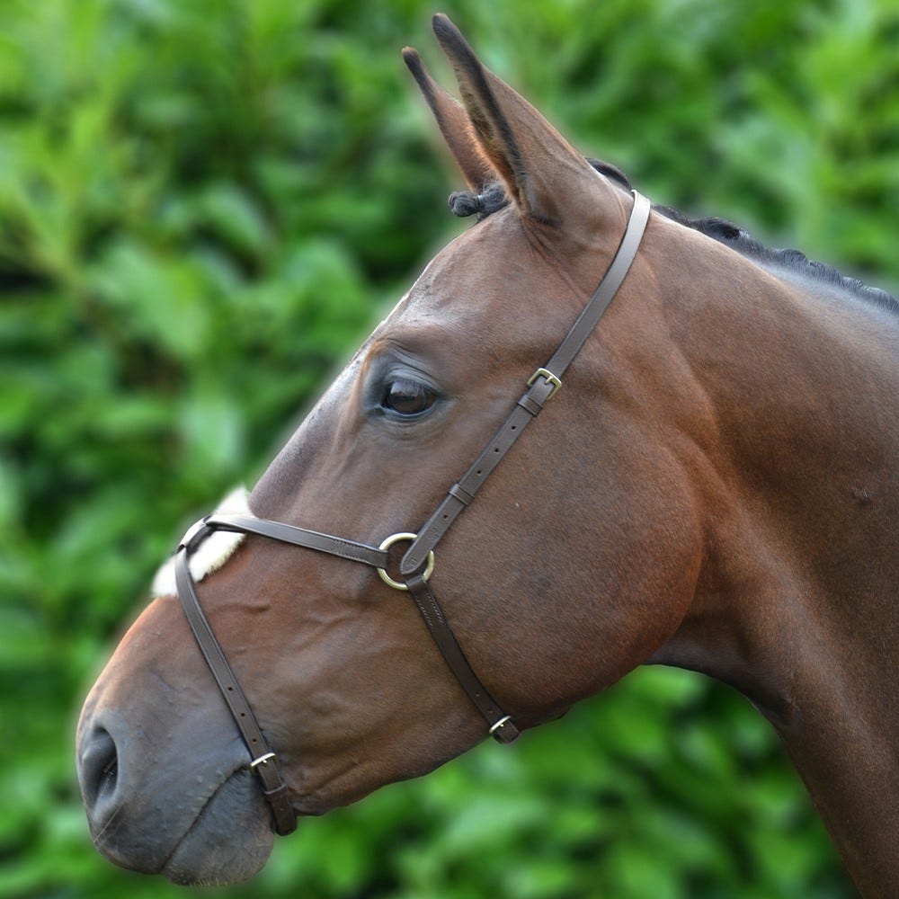 Hy Equestrian Mexican Grackle Nose Band - Nags Essentials