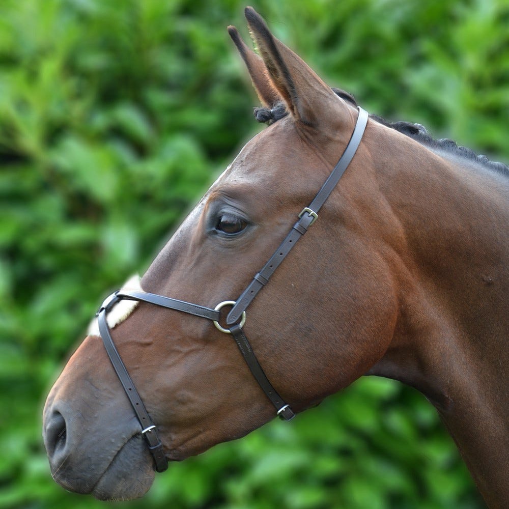 Hy Equestrian Mexican Grackle Nose Band - Nags Essentials