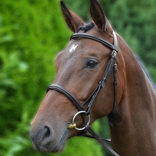 Hy Equestrian Padded Cavesson Bridle with Rubber Grip Reins - Nags Essentials
