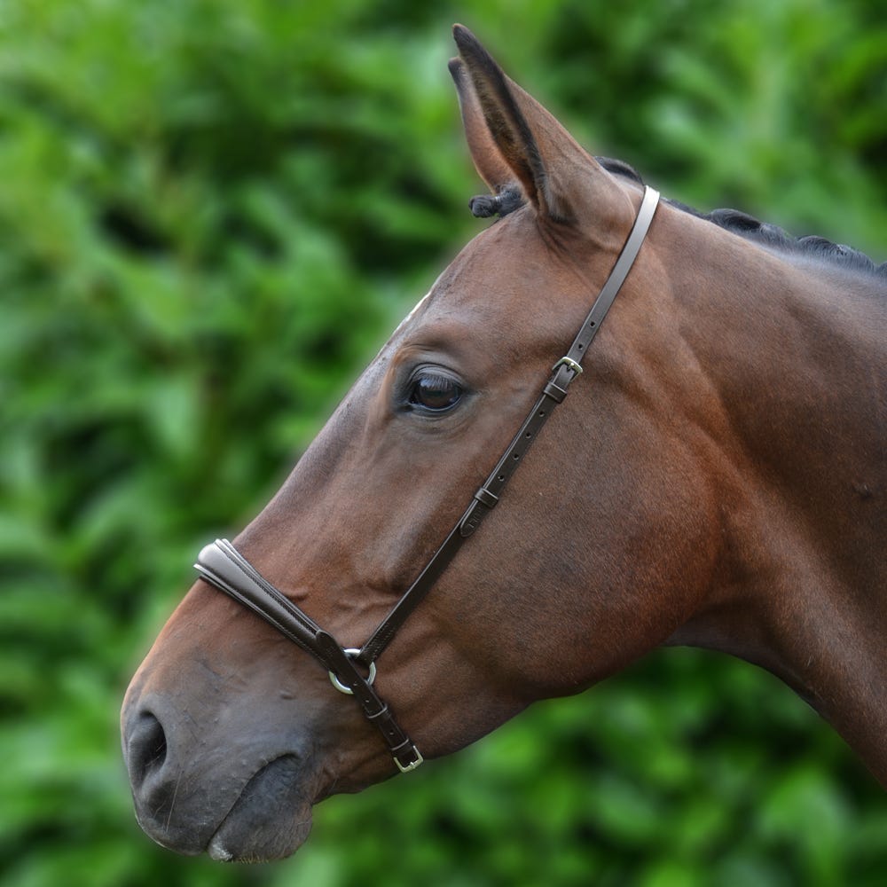Hy Equestrian Padded Drop Nose Band - Nags Essentials