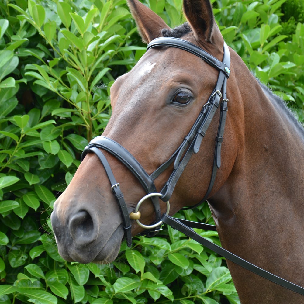 Hy Equestrian Padded Flash Bridle with Rubber Grip Reins - Nags Essentials