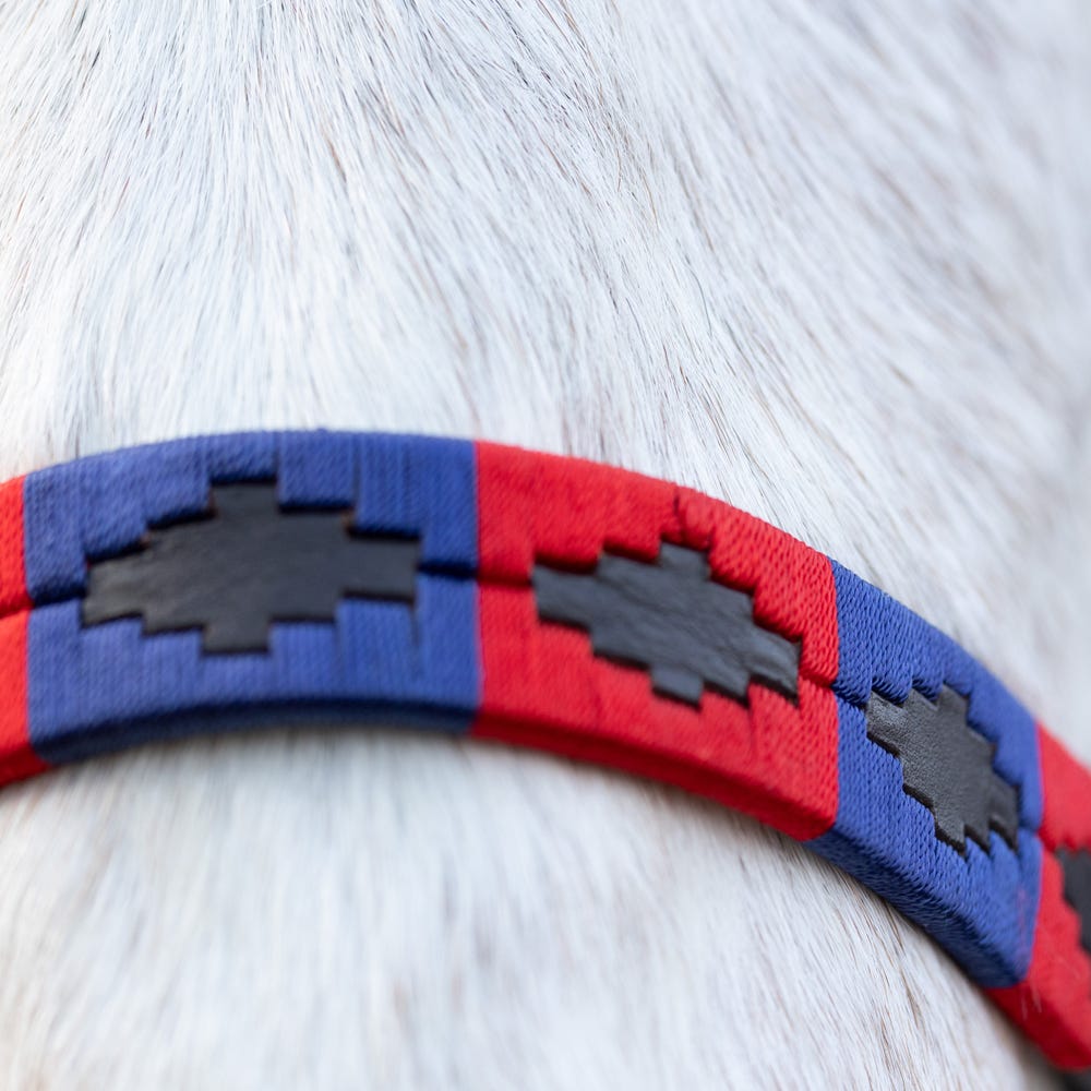 Hy Equestrian Polo Leather Head Collar - Nags Essentials