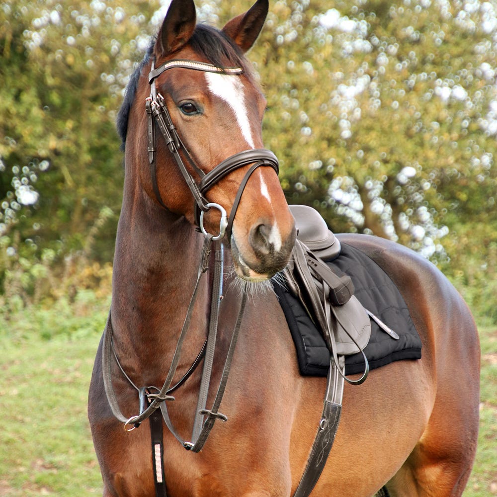 Hy Equestrian Rosciano Rose Gold Bridle - Nags Essentials