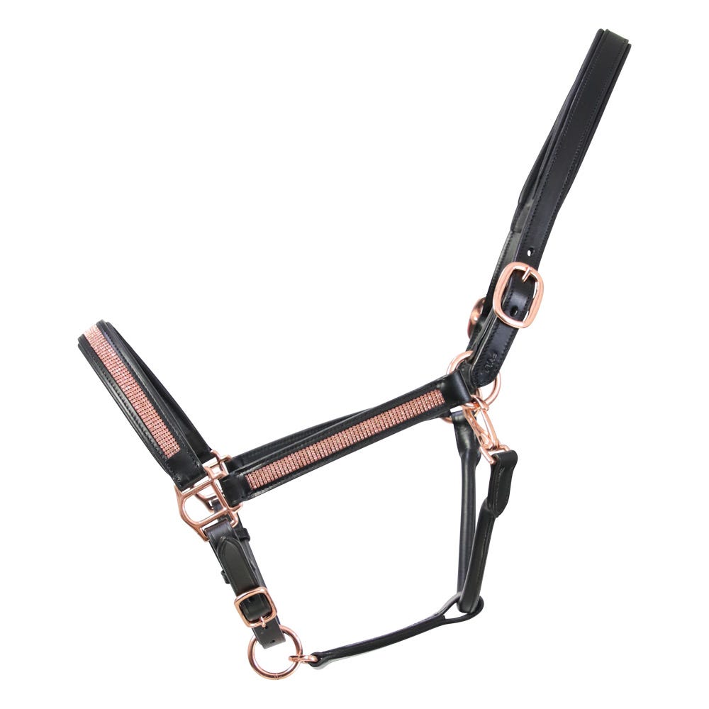 Hy Equestrian Rosciano Rose Gold Head Collar - Nags Essentials