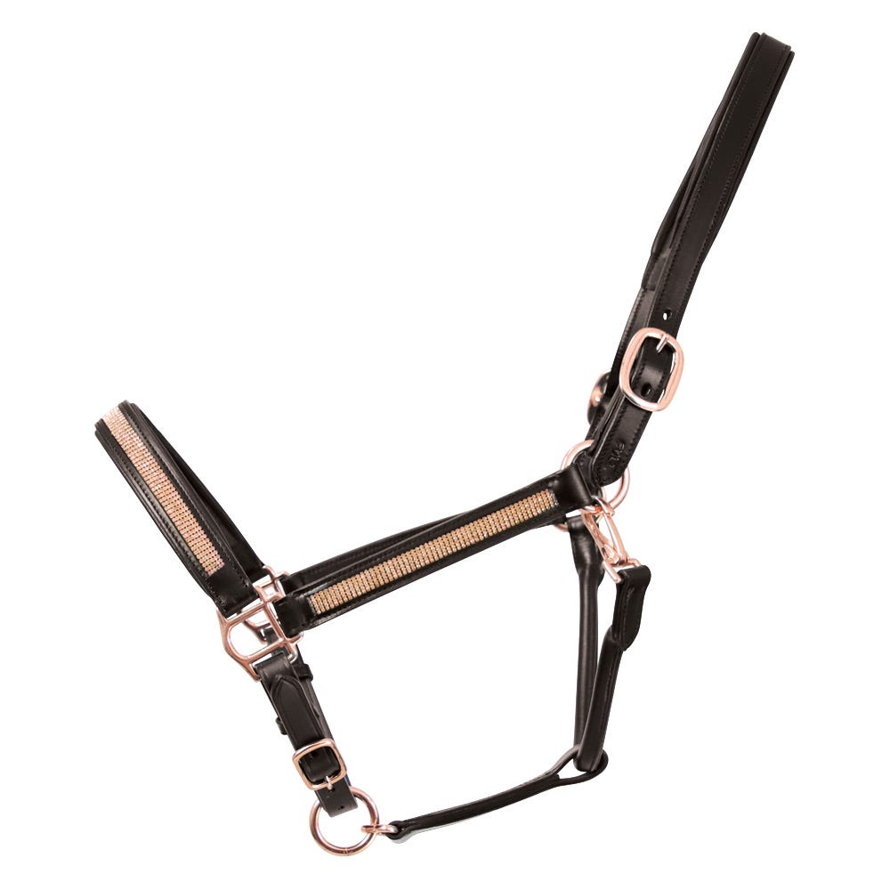Hy Equestrian Rosciano Rose Gold Head Collar - Nags Essentials