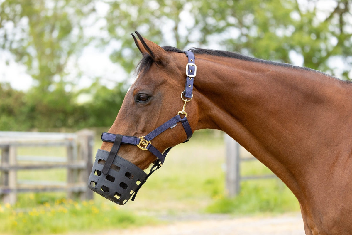 Hy Equestrian Rubber Muzzle - Nags Essentials