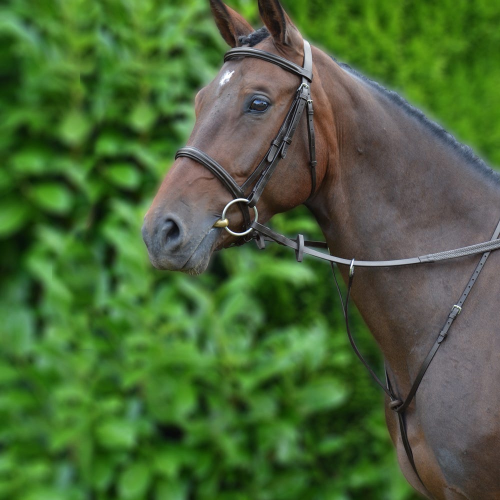 Hy Equestrian Running Martingale - Nags Essentials