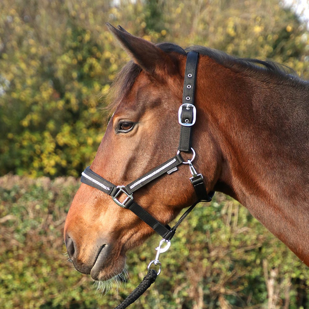 Hy Equestrian Sparkling Head Collar & Lead Rope Set - Nags Essentials