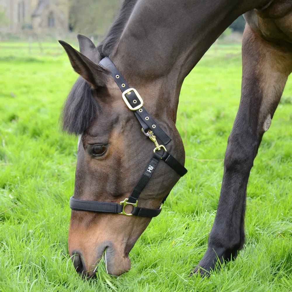 Hy Fieldsafe Headcollar - Nags Essentials