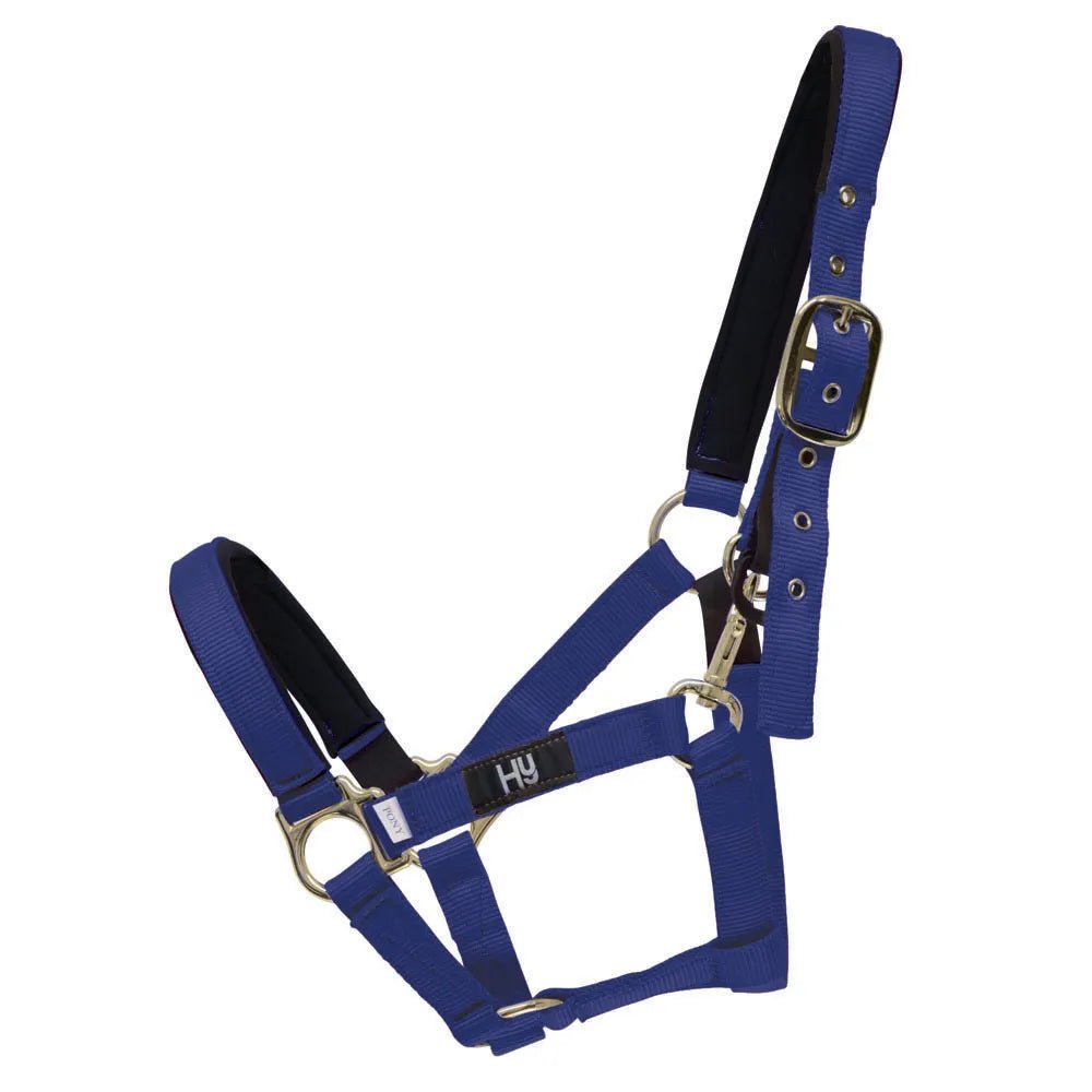 Hy Fieldsafe Headcollar - Nags Essentials