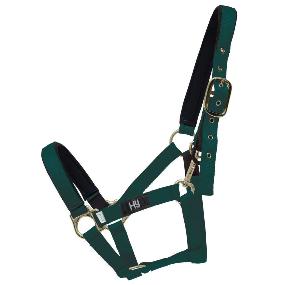 Hy Fieldsafe Headcollar - Nags Essentials