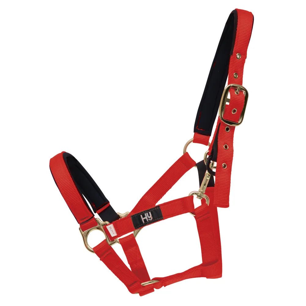 Hy Fieldsafe Headcollar - Nags Essentials