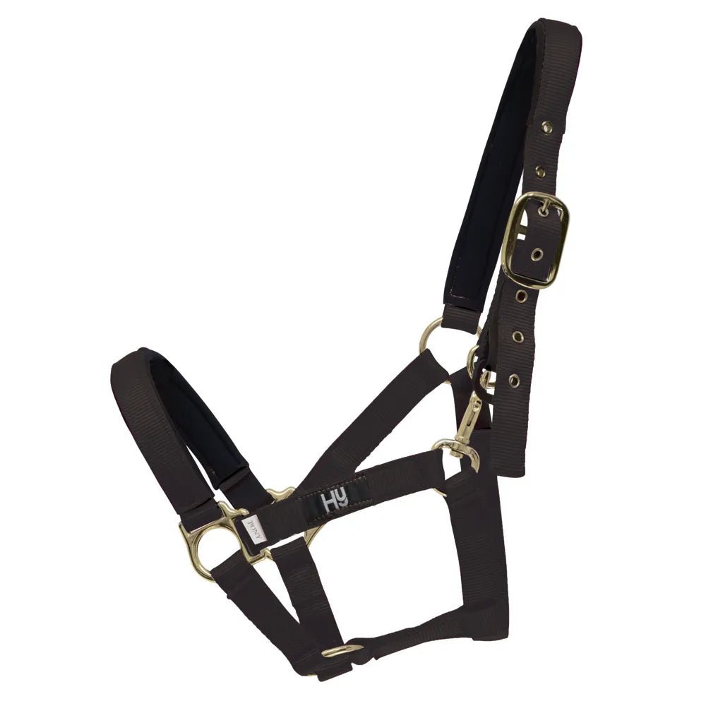 Hy Fieldsafe Headcollar - Nags Essentials