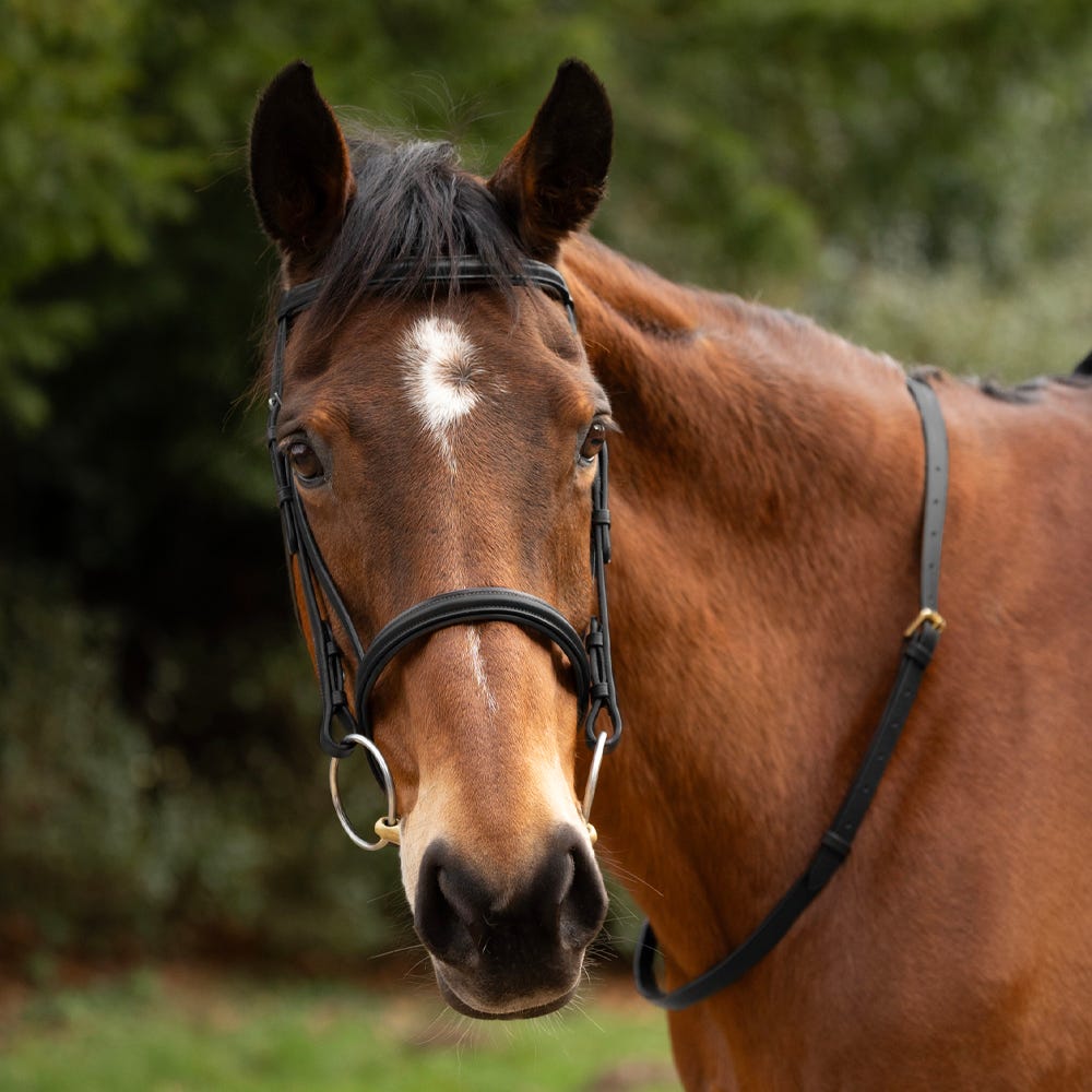 Hy Leather Neck Strap - Nags Essentials