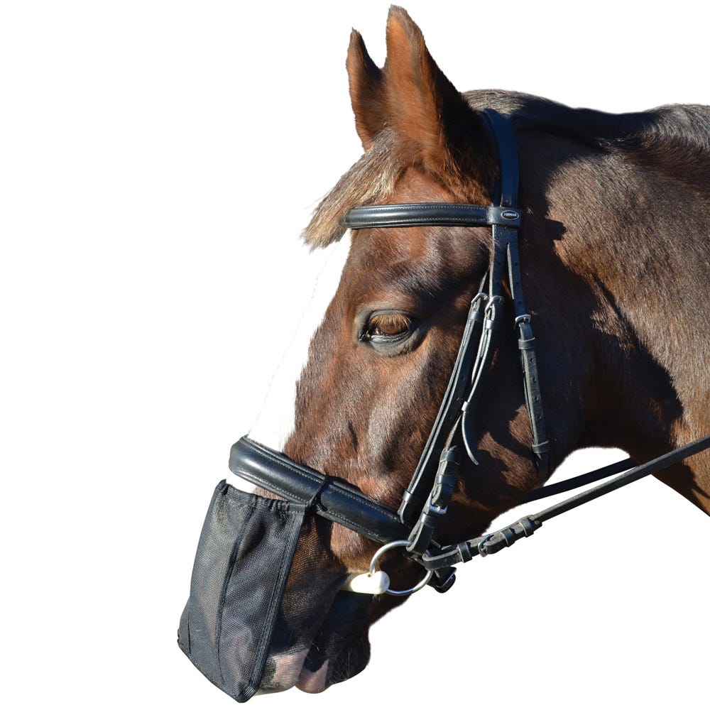 Hy Nose Shield - Nags Essentials