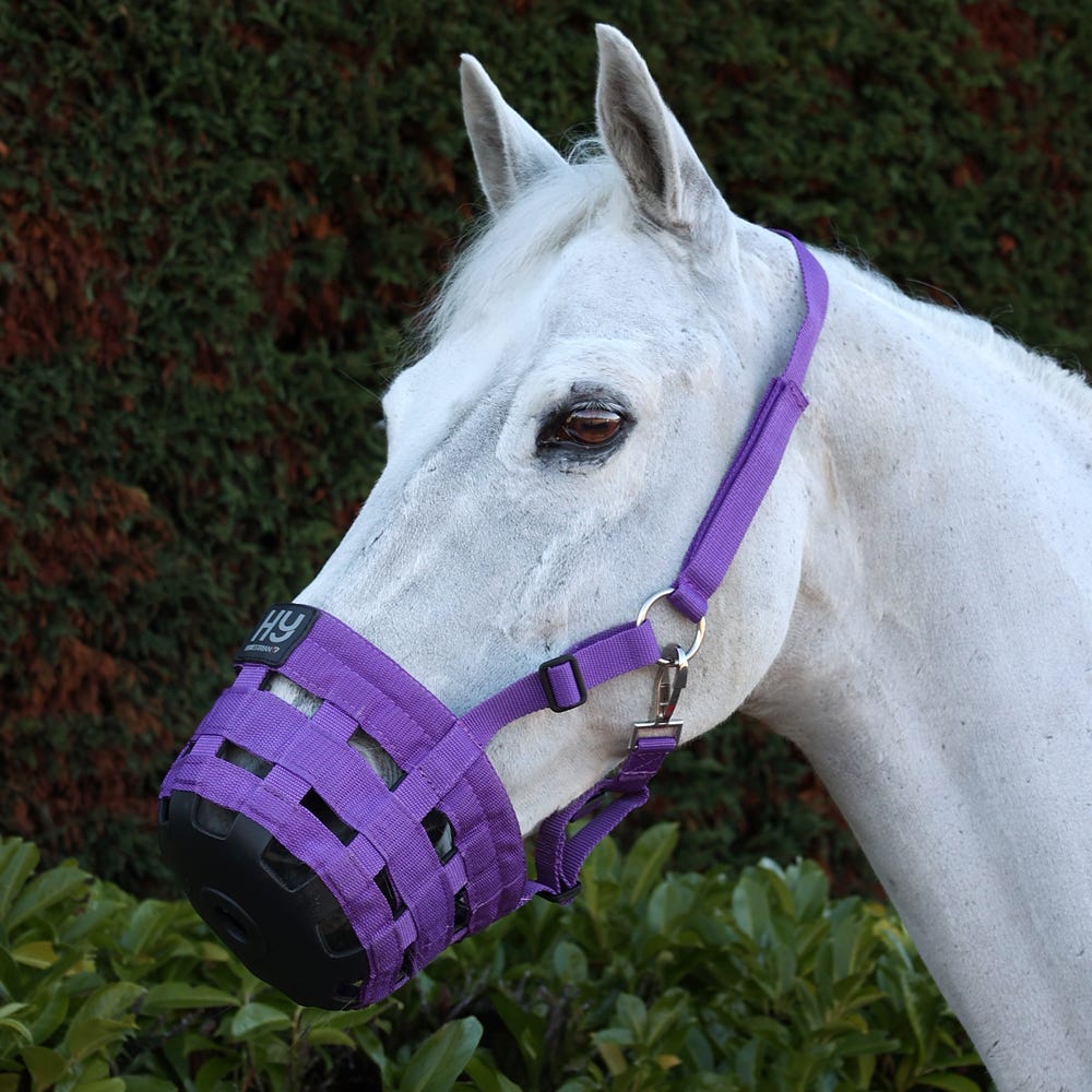 Hy Nylon Grazing Muzzle - Nags Essentials