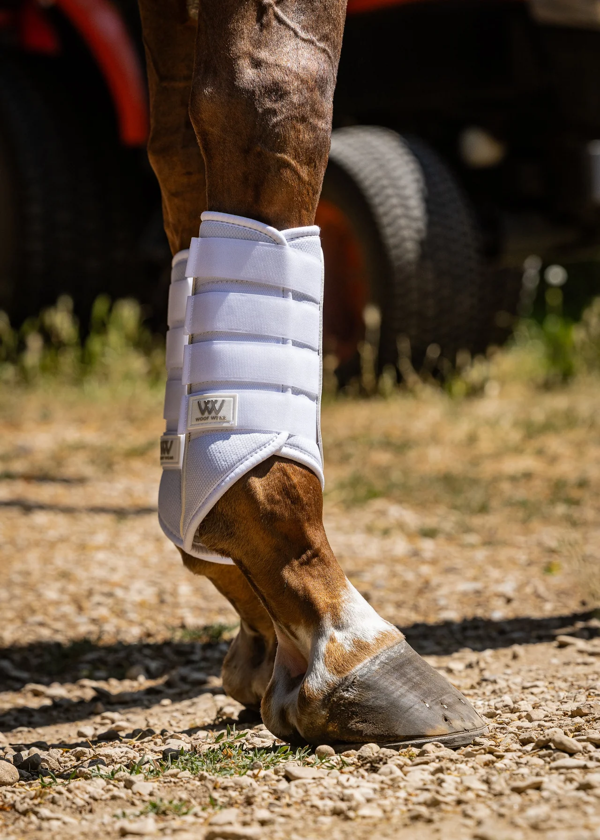 Woof Wear Single Lock Brushing Boot