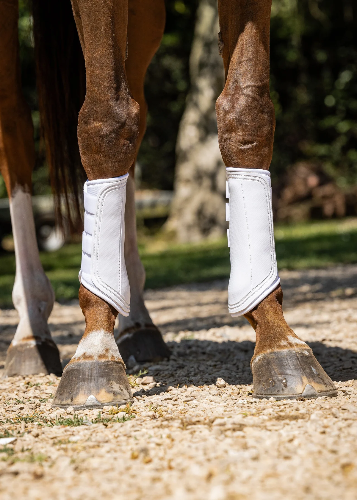 Woof Wear Single Lock Brushing Boot