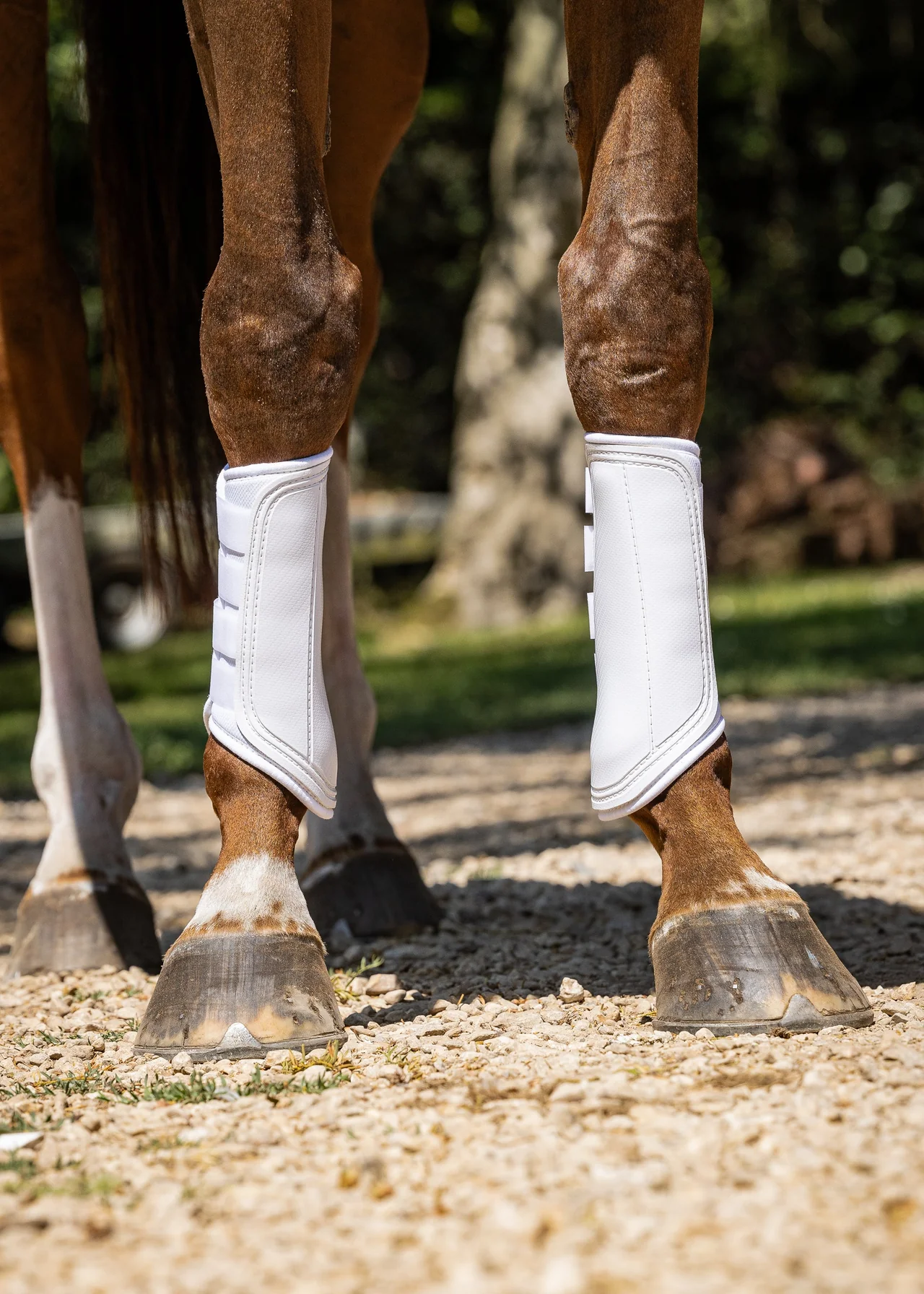Woof Wear Single Lock Brushing Boot