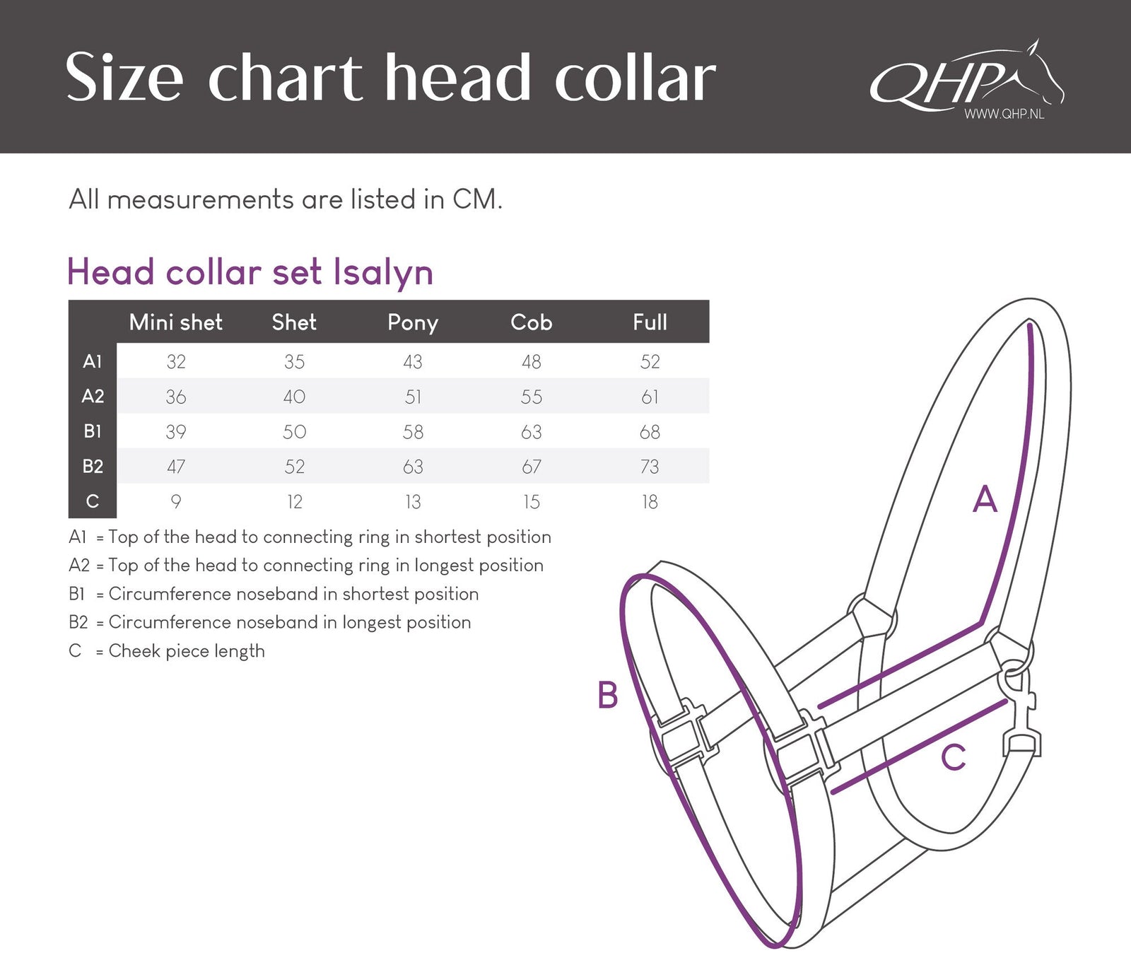 Isalyn Headcollar Set - Nags Essentials