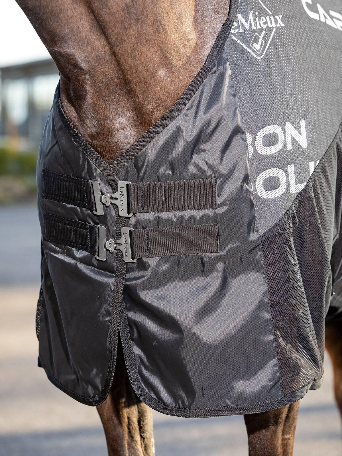 LeMieux Carbon Cooler Rug - Black