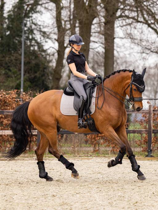 LeMieux Cotton Dressage Square