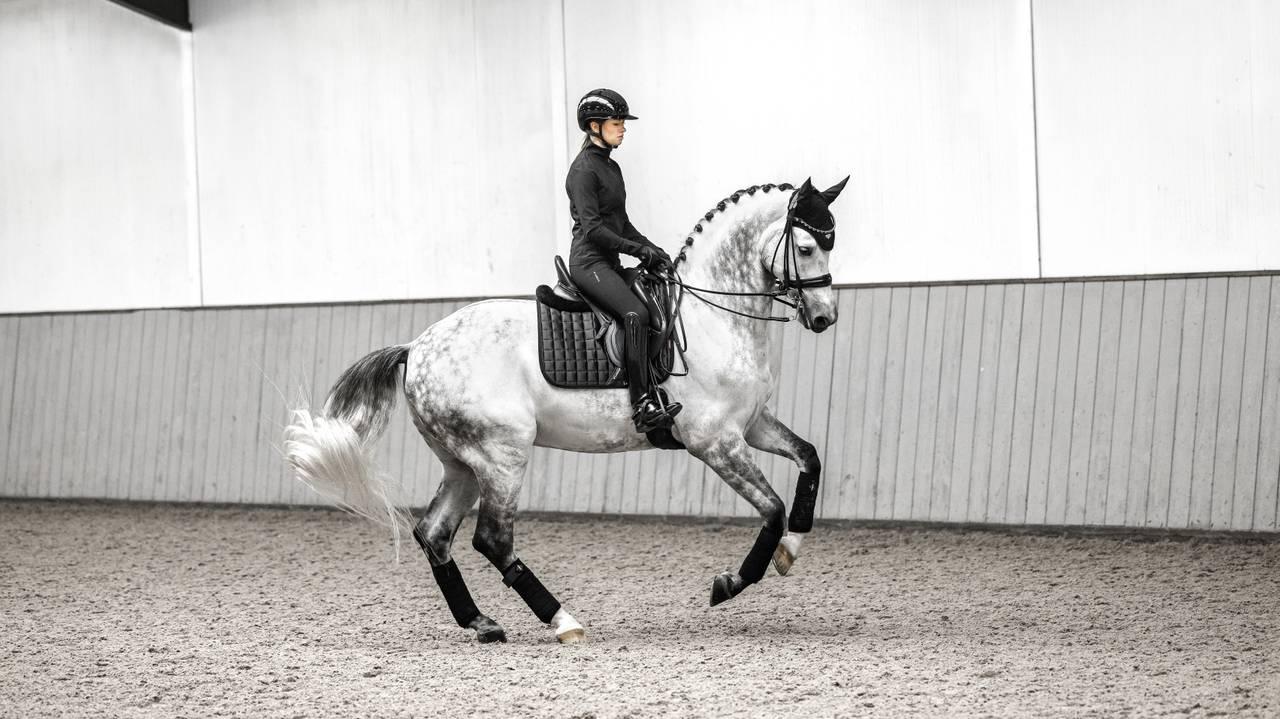 LeMieux Loire Dressage Square