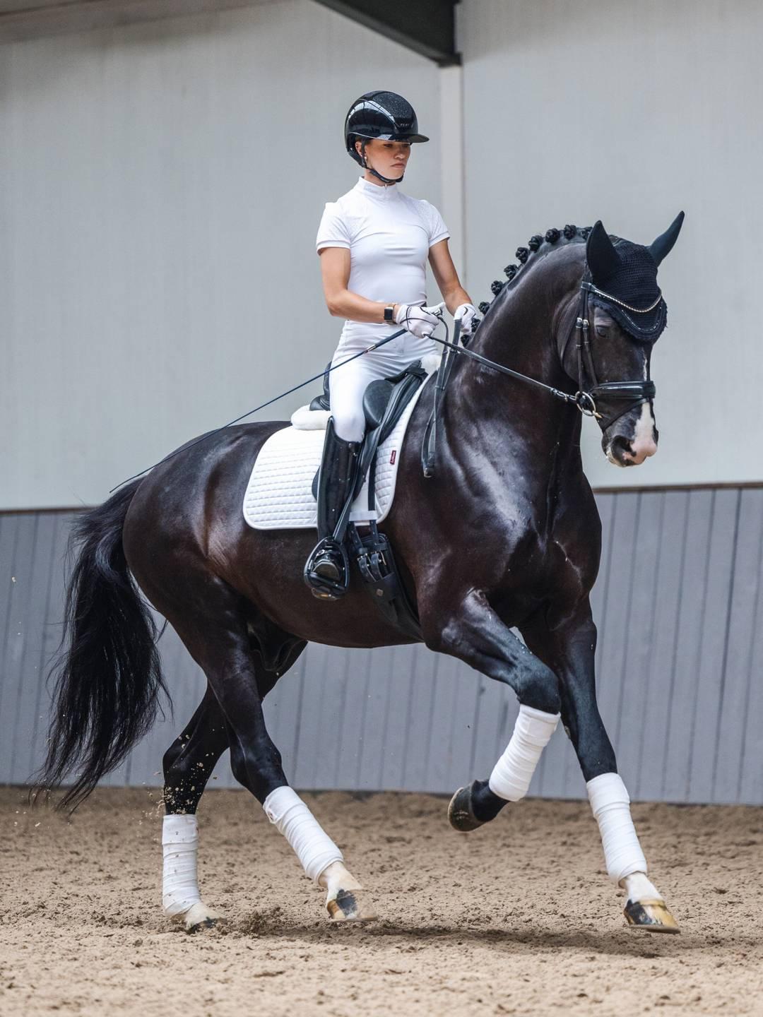 LeMieux Cotton Dressage Square