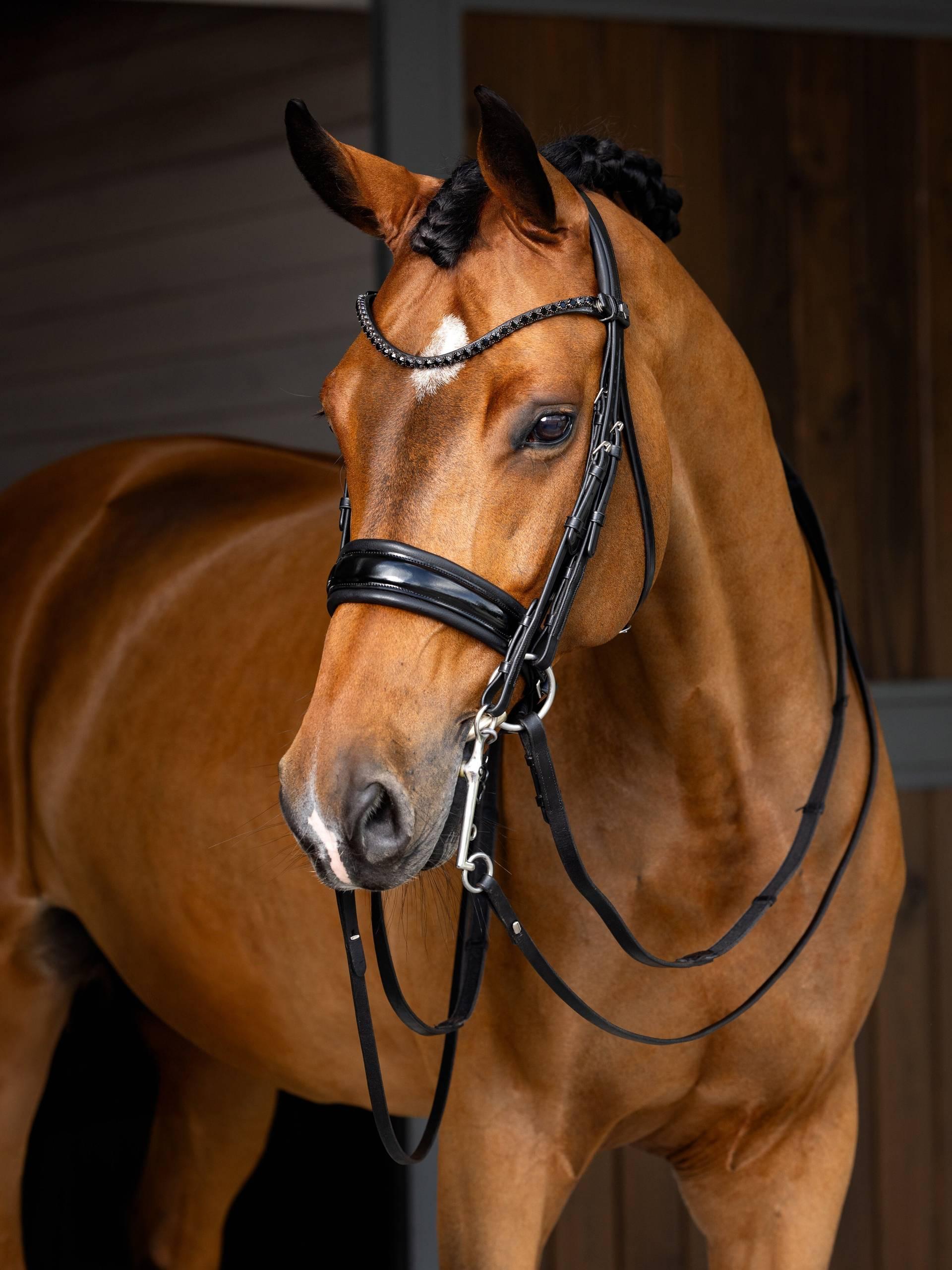 Lemieux Kudos Double Bridle
