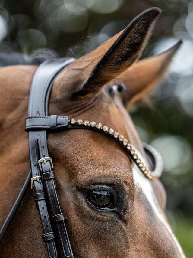 Lemieux Kudos Patent Rolled Dressage Bridle
