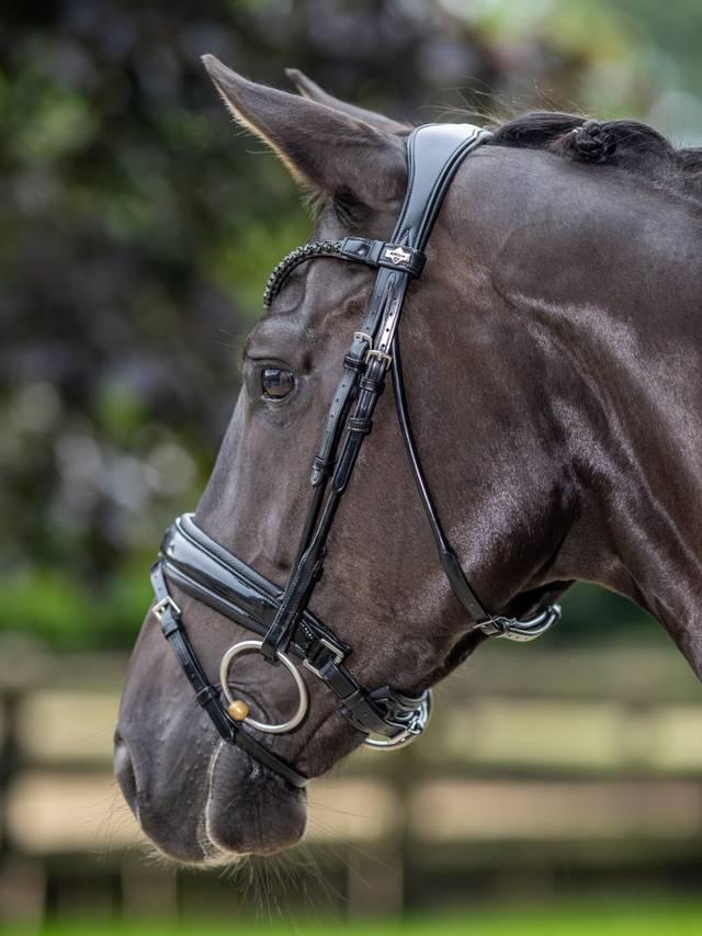Lemieux Kudos Patent Rolled Dressage Bridle