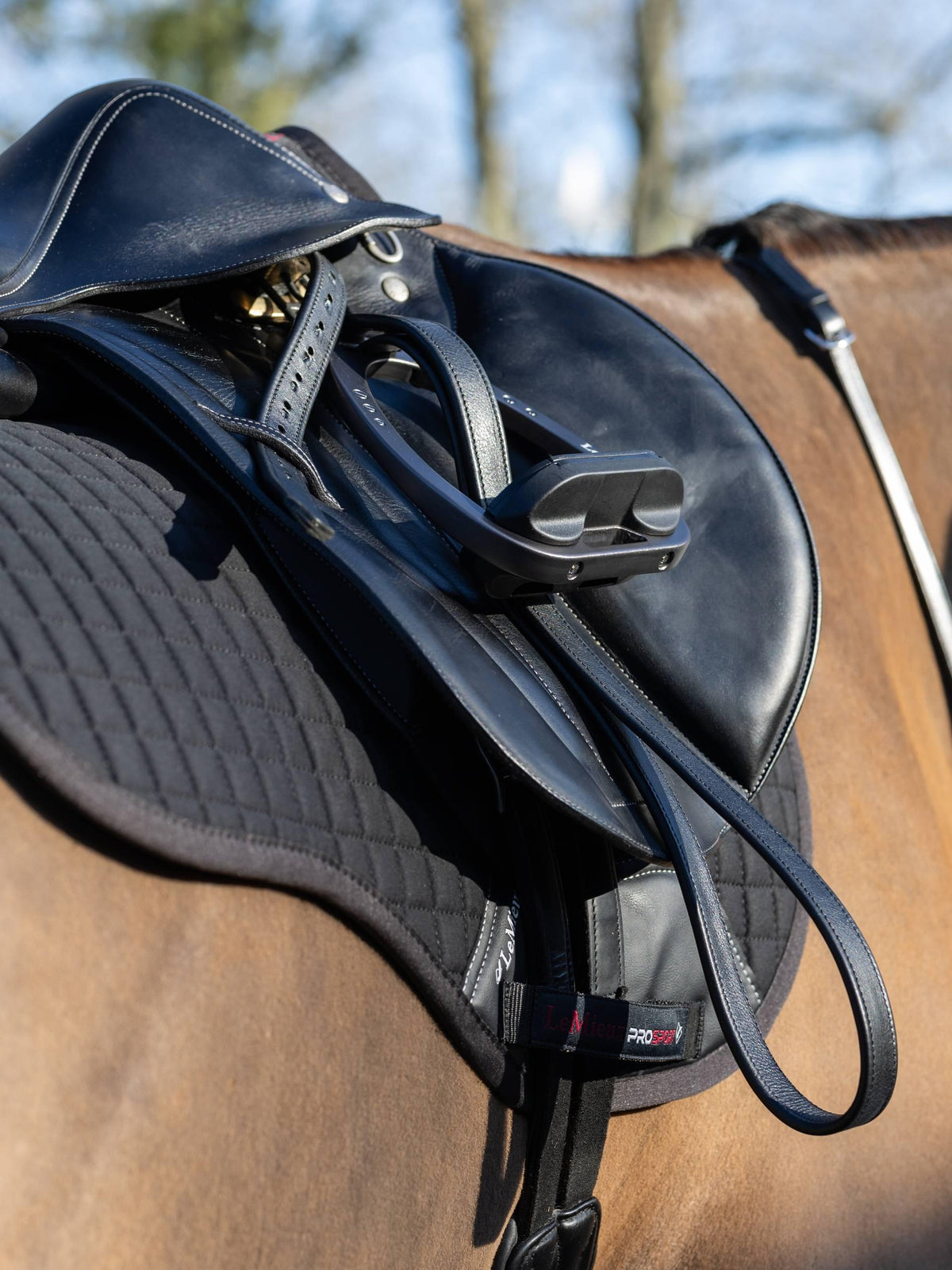 LeMeiux Arika Stirrup Leather