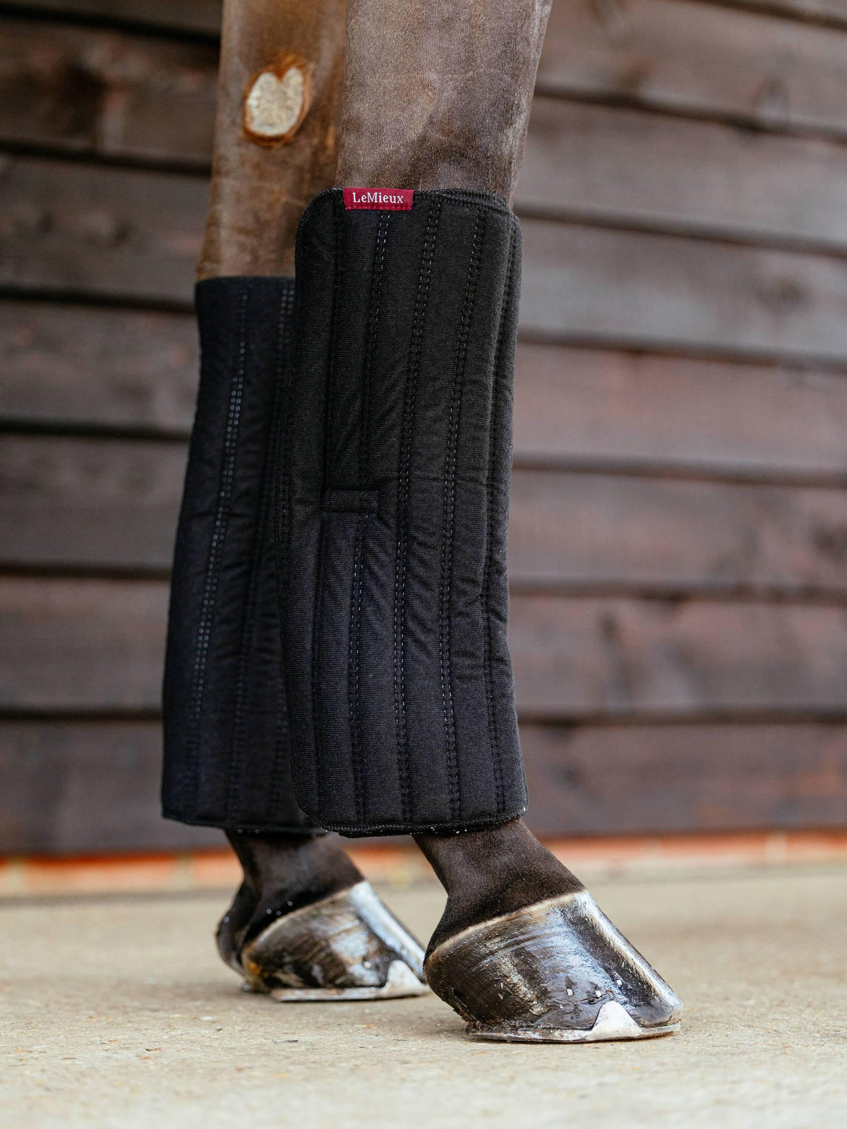 LeMieux Memory Foam Bandage Pads