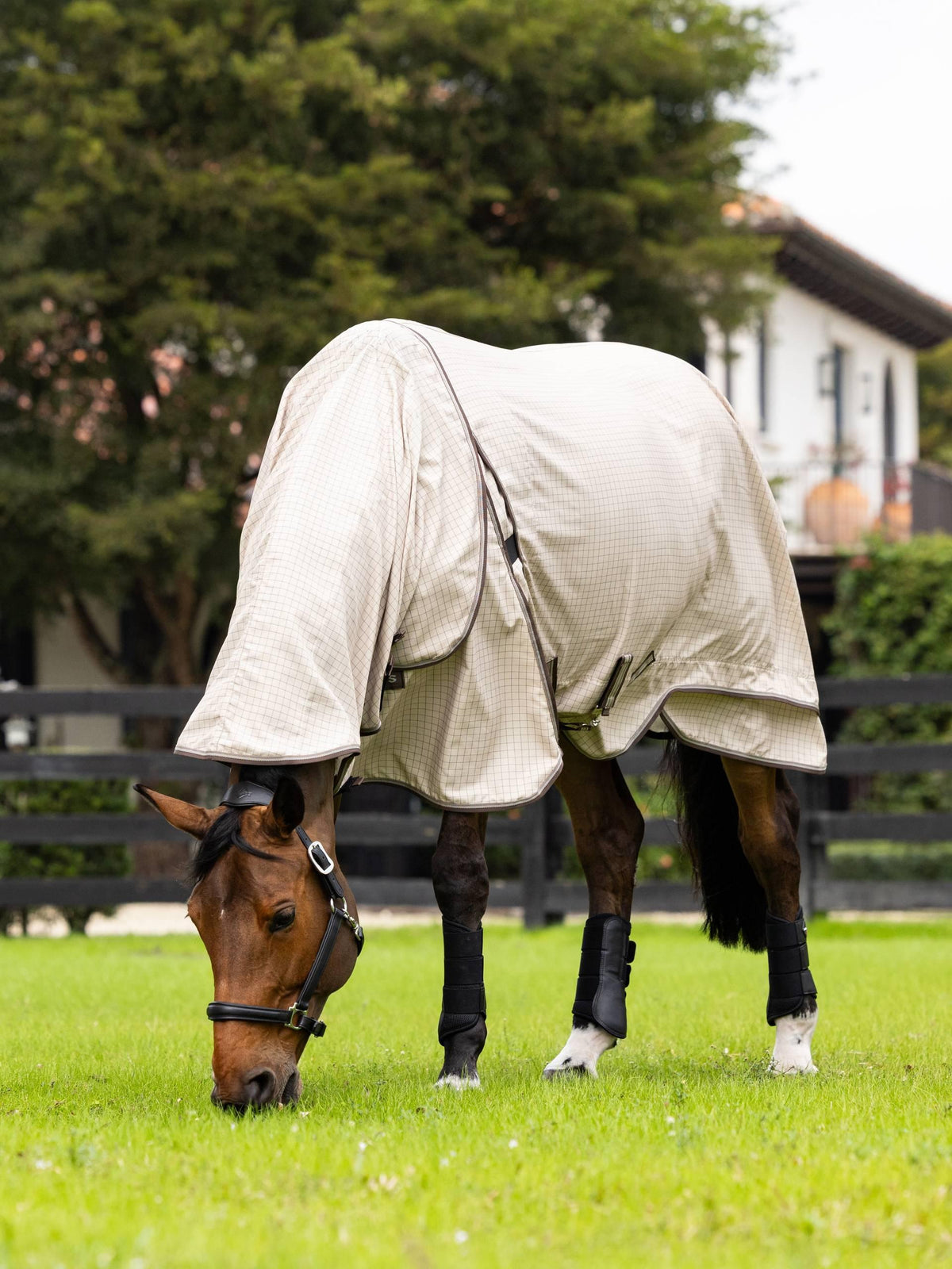 LeMieux Kudos Field Rug - Stone