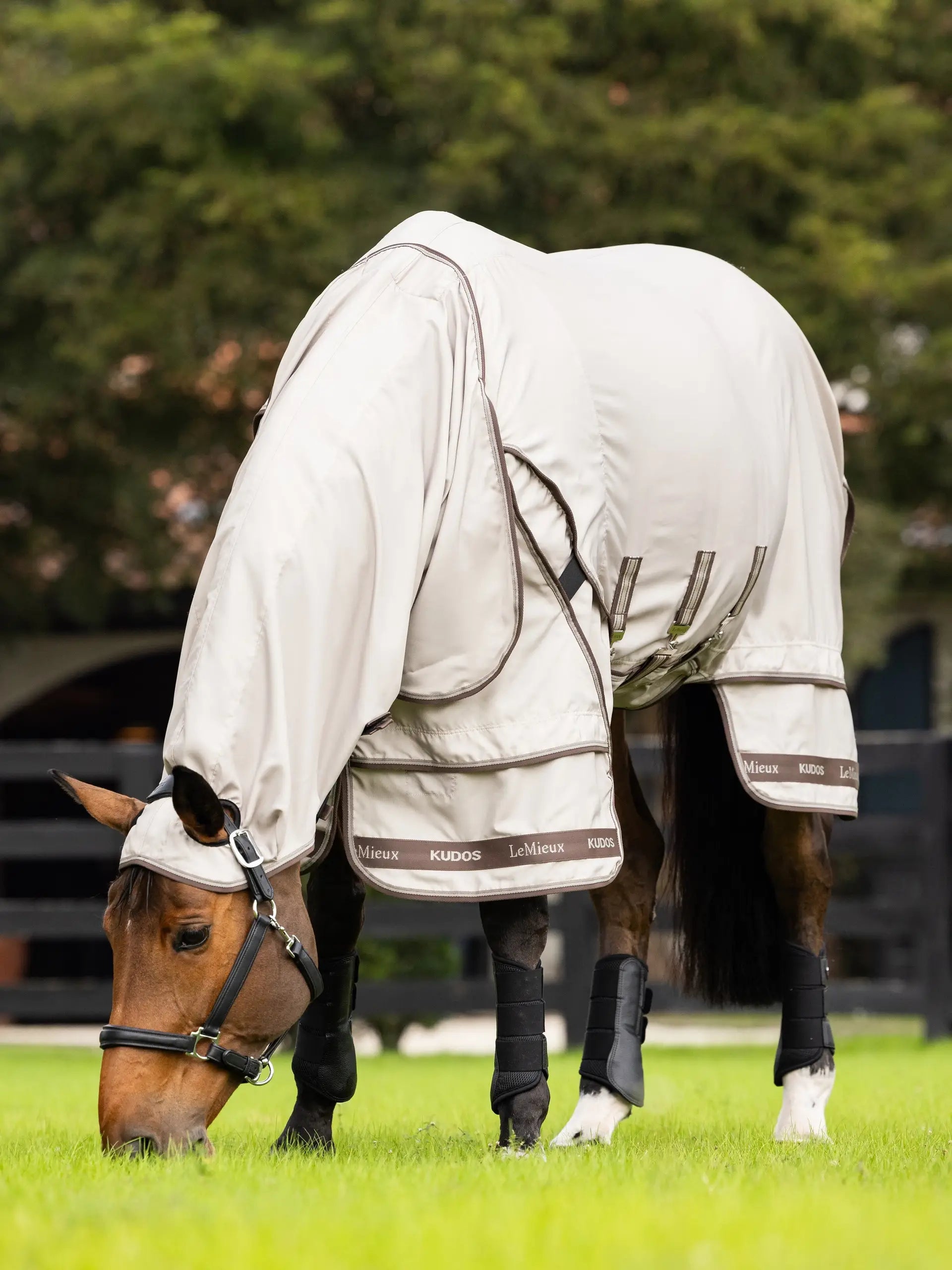 LeMieux Kudos Sweet Itch Rug  - Stone