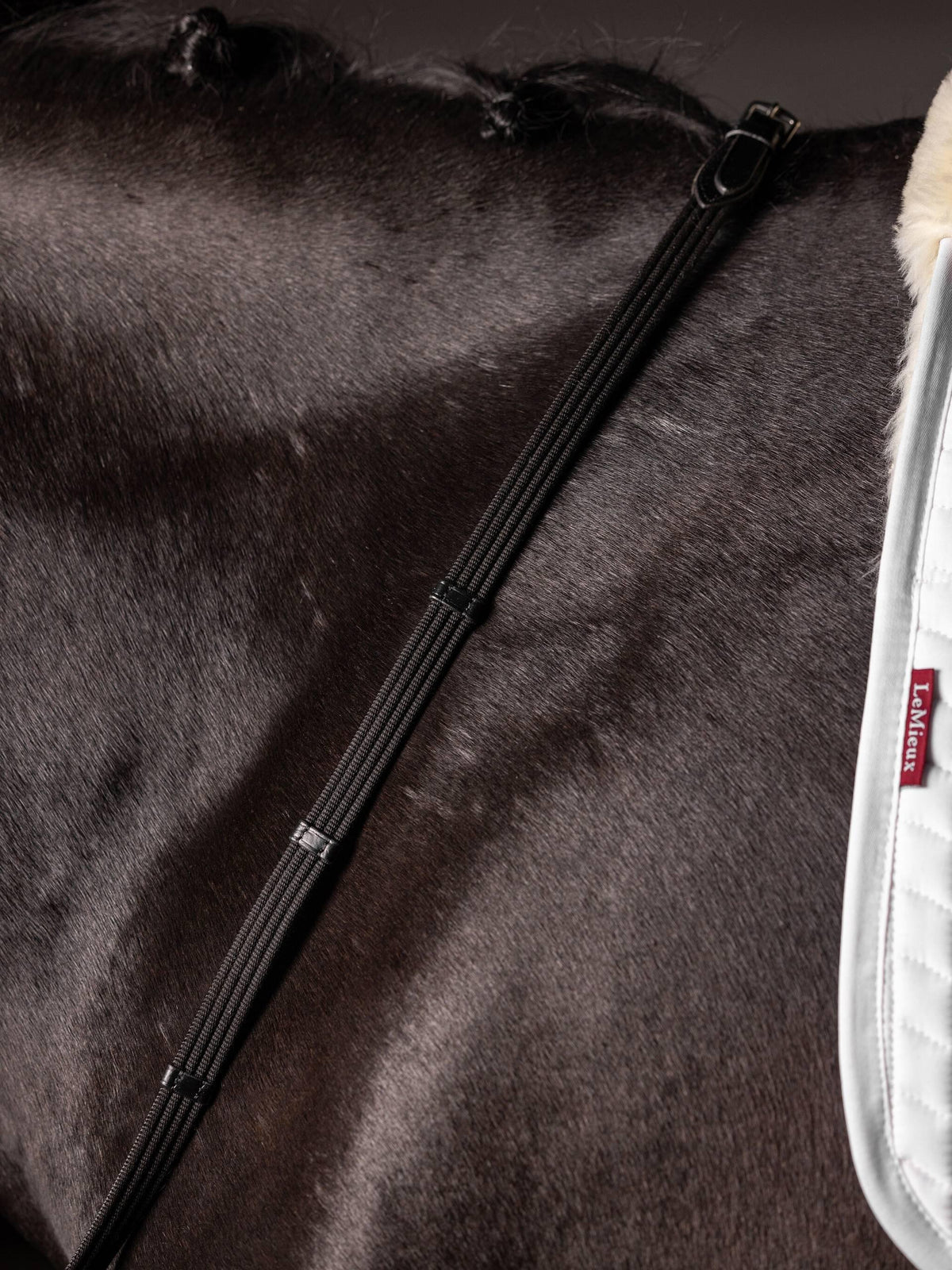 LeMieux Webbed Continental Reins