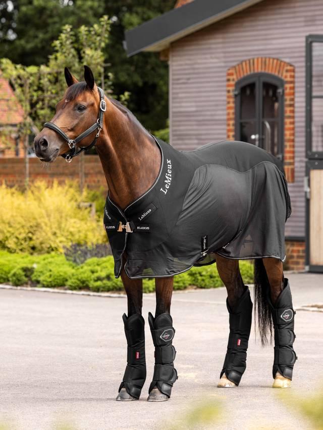 LeMieux Travel Boots